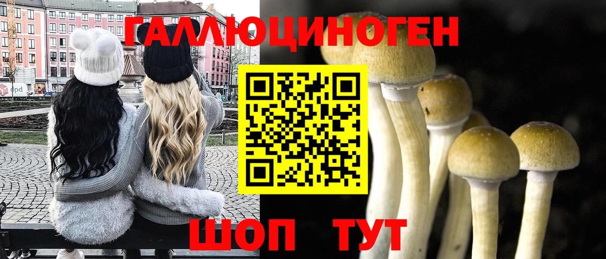Кудрово  Псилоцибиновые грибы Magic Shrooms  Вход с VPN  Псилоцибиновые грибы Psilocybe 