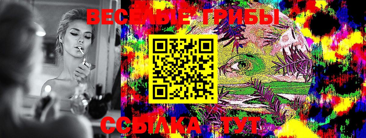 Псилоцибиновые грибы Psilocybe Кудрово
