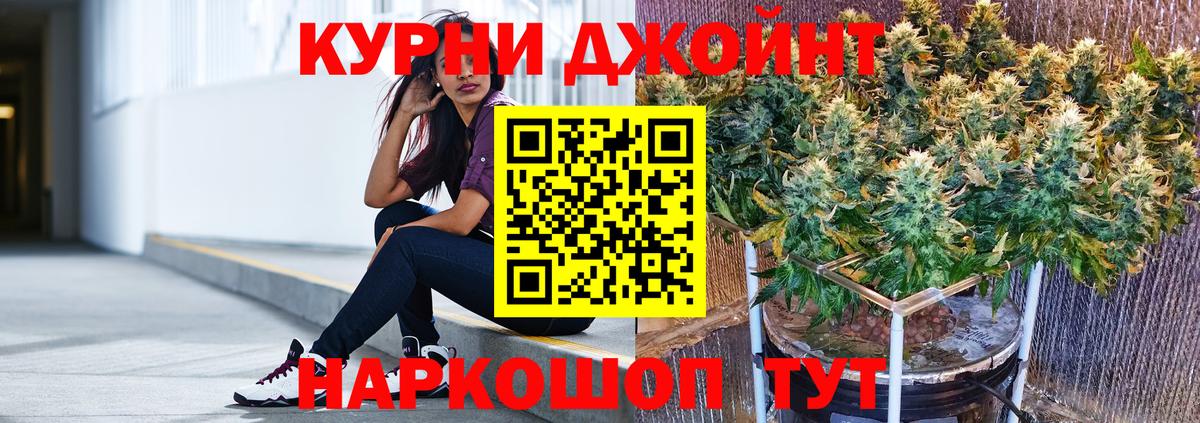 Конопля SATIVA & INDICA Кудрово